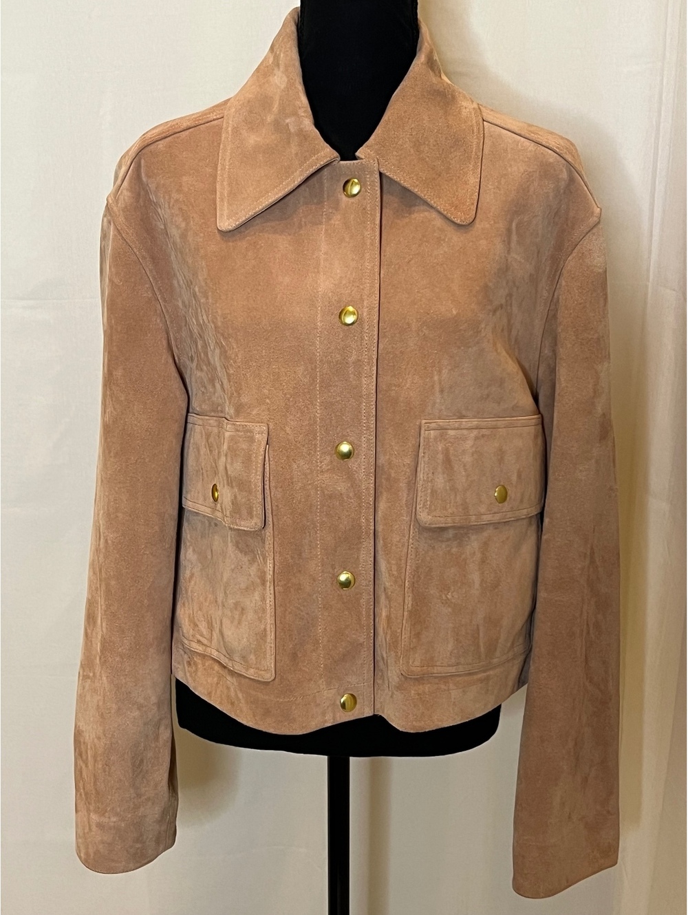 NWOT Madewell Crop Chore Jacket Suede Leather Pale Blush Snap Front Large